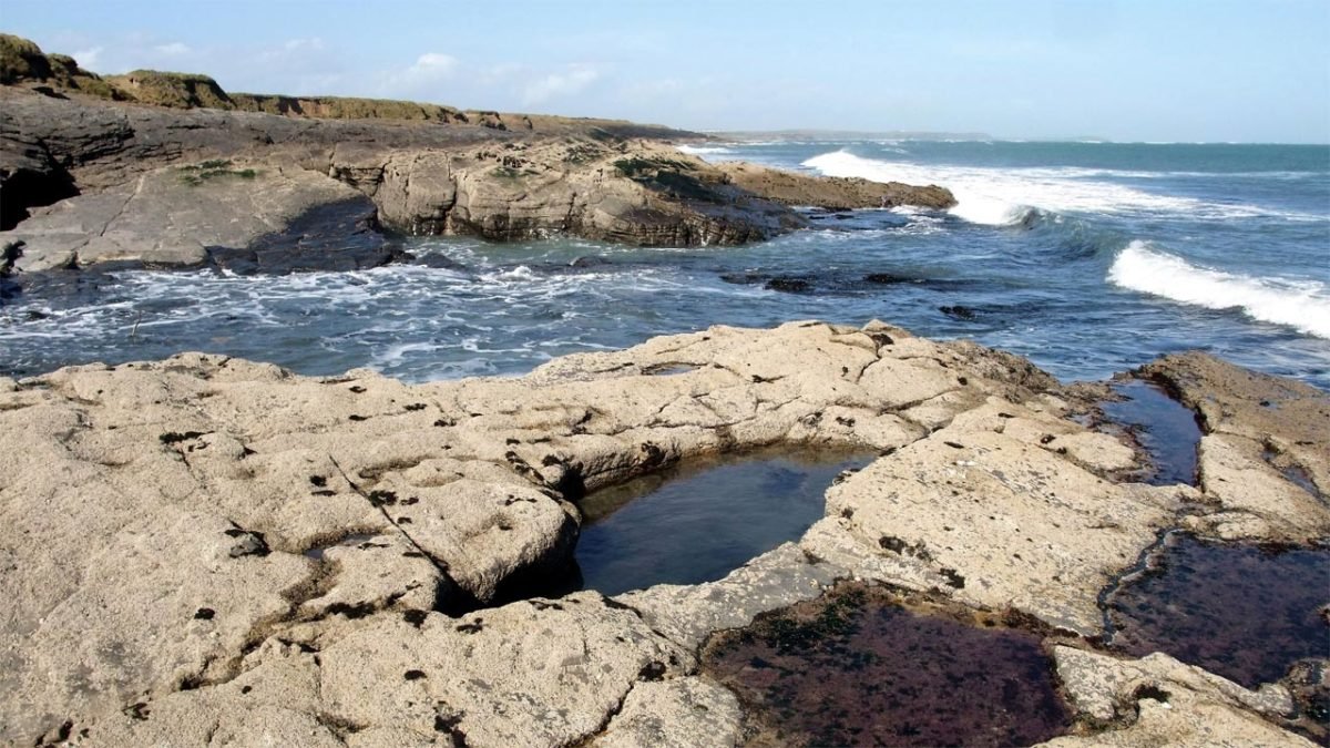 Intertidal rock pools